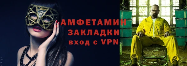 индика Бронницы
