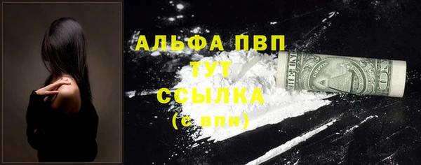 индика Бронницы