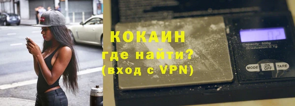 индика Бронницы