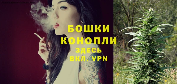 индика Бронницы