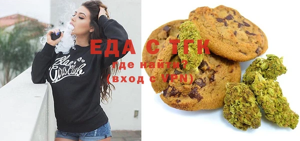 индика Бронницы