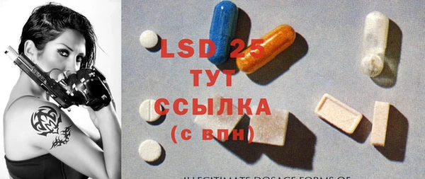 индика Бронницы