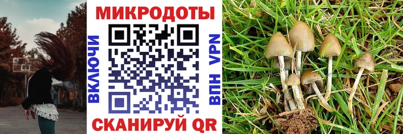 Галлюциногенные грибы Magic Shrooms Кировград