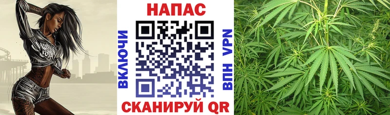 Канабис SATIVA & INDICA Кировград